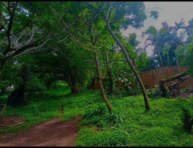 LAND FOR SALE IN MTUNZINI